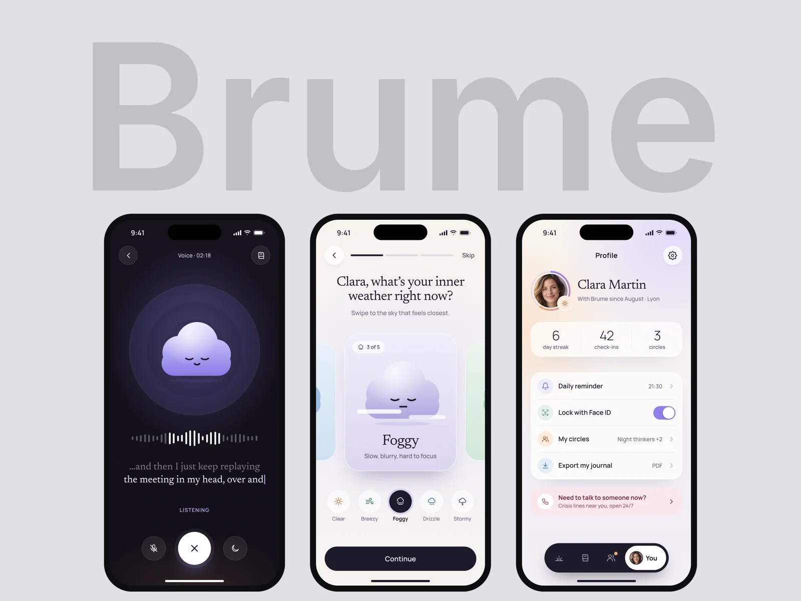 Focus on the companion, Brume